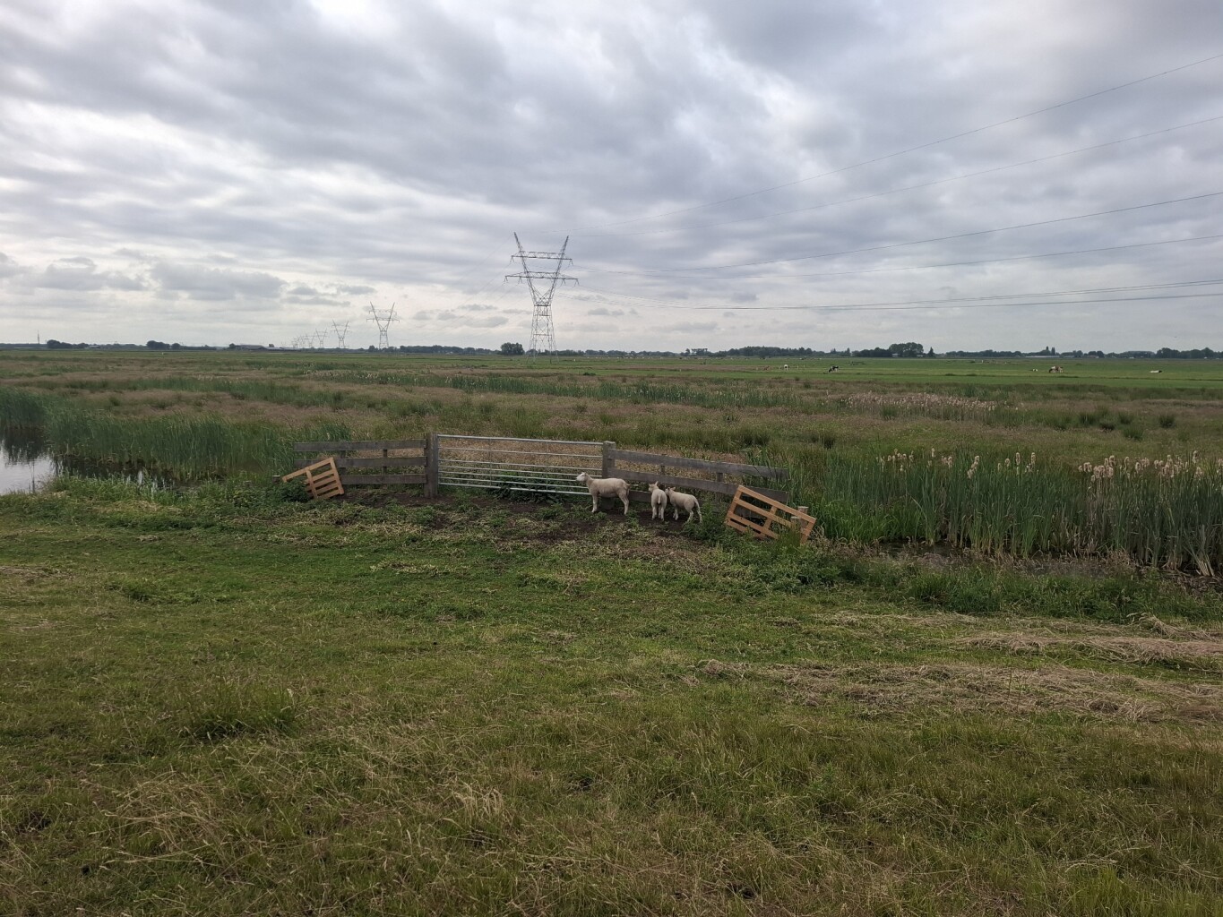 Weesp - Naarden-Bussum · Waterliniepad etappe 9