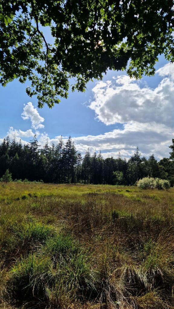 Wandelroute Vosseven Sleenerzand