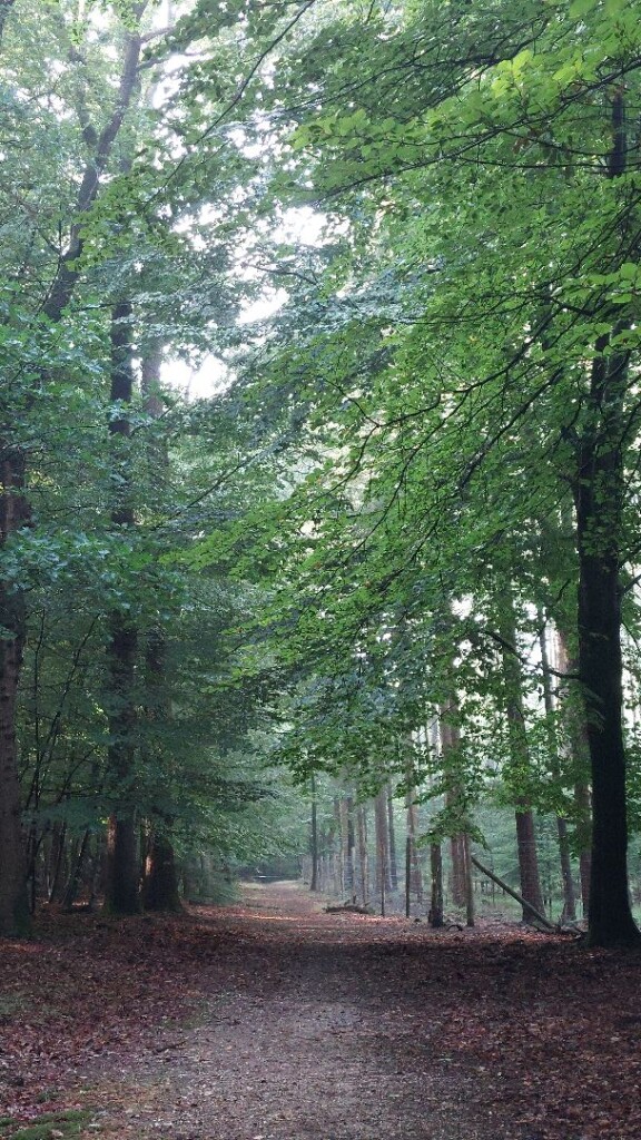 Apeldoorn - Hoenderloo · Roots Natuurpad etappe 19