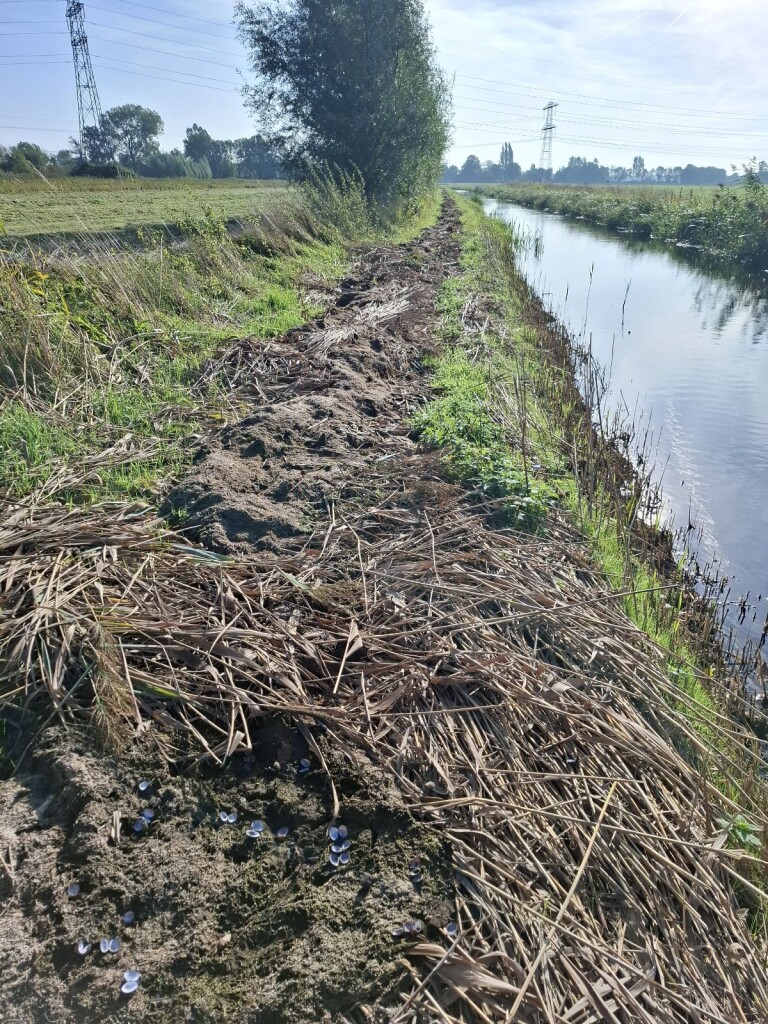 Klompenpad Leestensche-broekpad