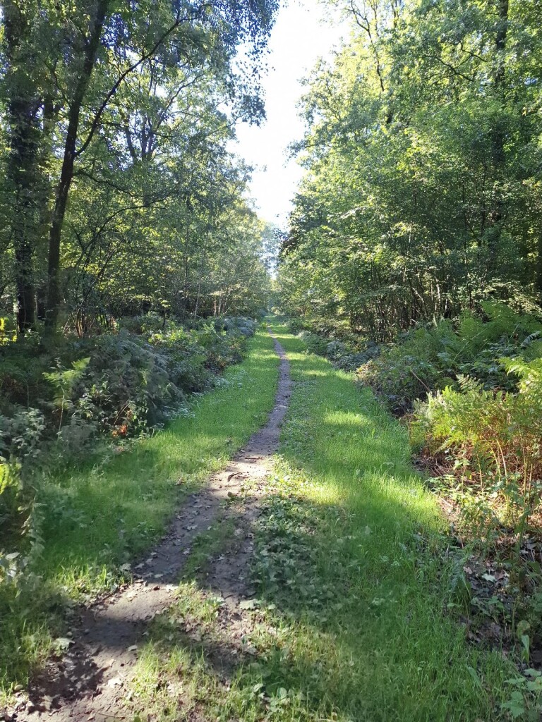 Klompenpad Leestensche-broekpad