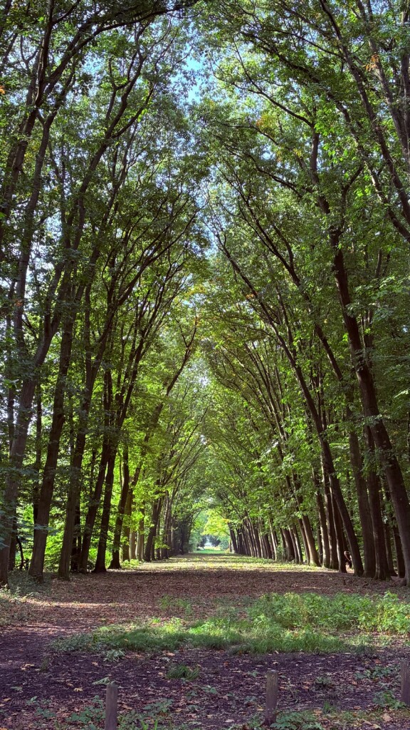 Vorden - Zelhem · Pieterpad etappe 14