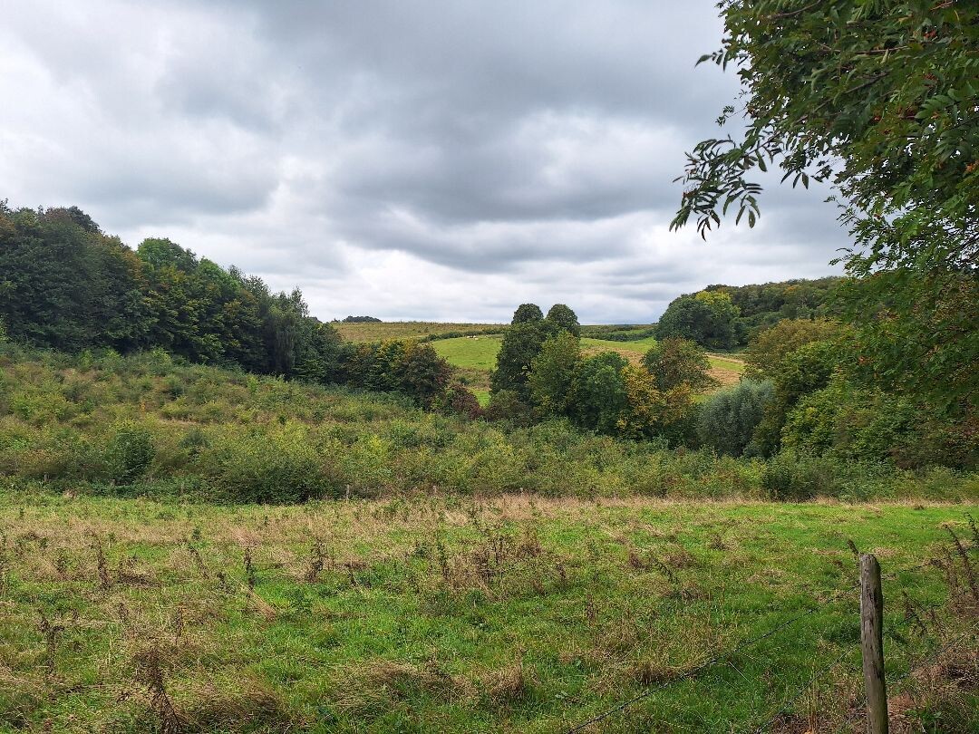 Kasteel Neubourg G14 Gulpen-Wittem 