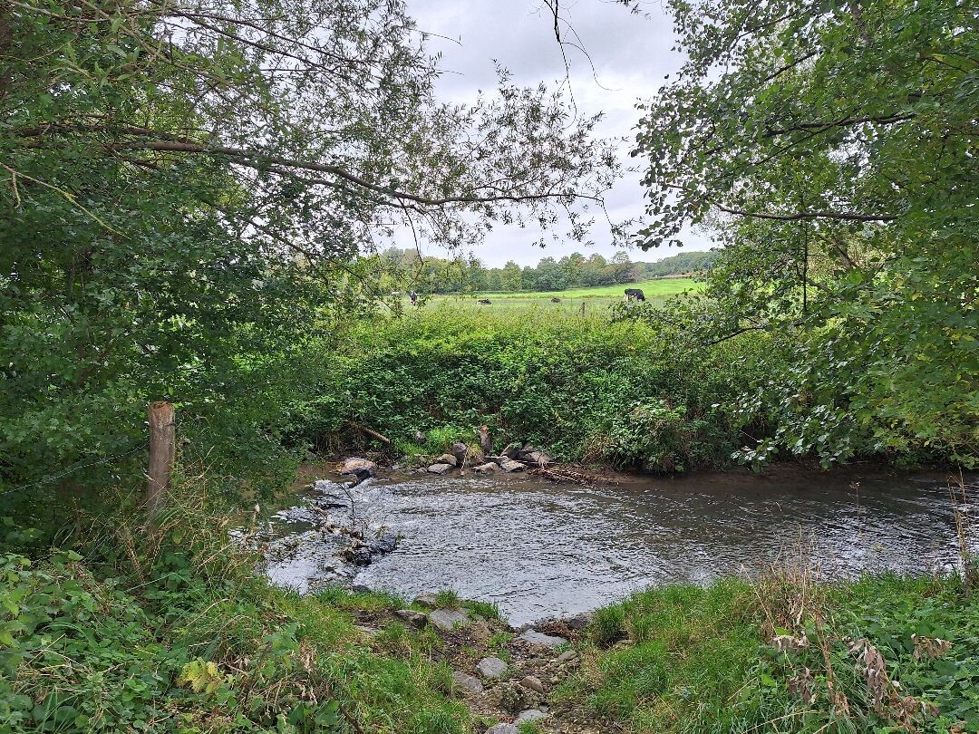 Kasteel Neubourg G14 Gulpen-Wittem 