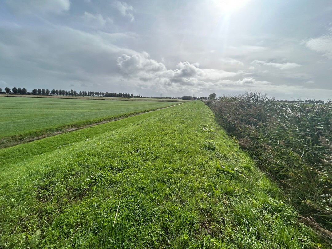 Molenkolktocht (blauw) vanaf startpunt Hensbroek