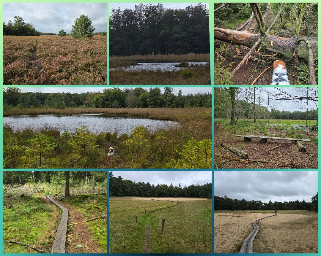 Wandelroute Sprokkelspoor