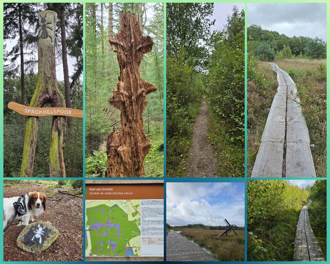 Wandelroute Sprokkelspoor