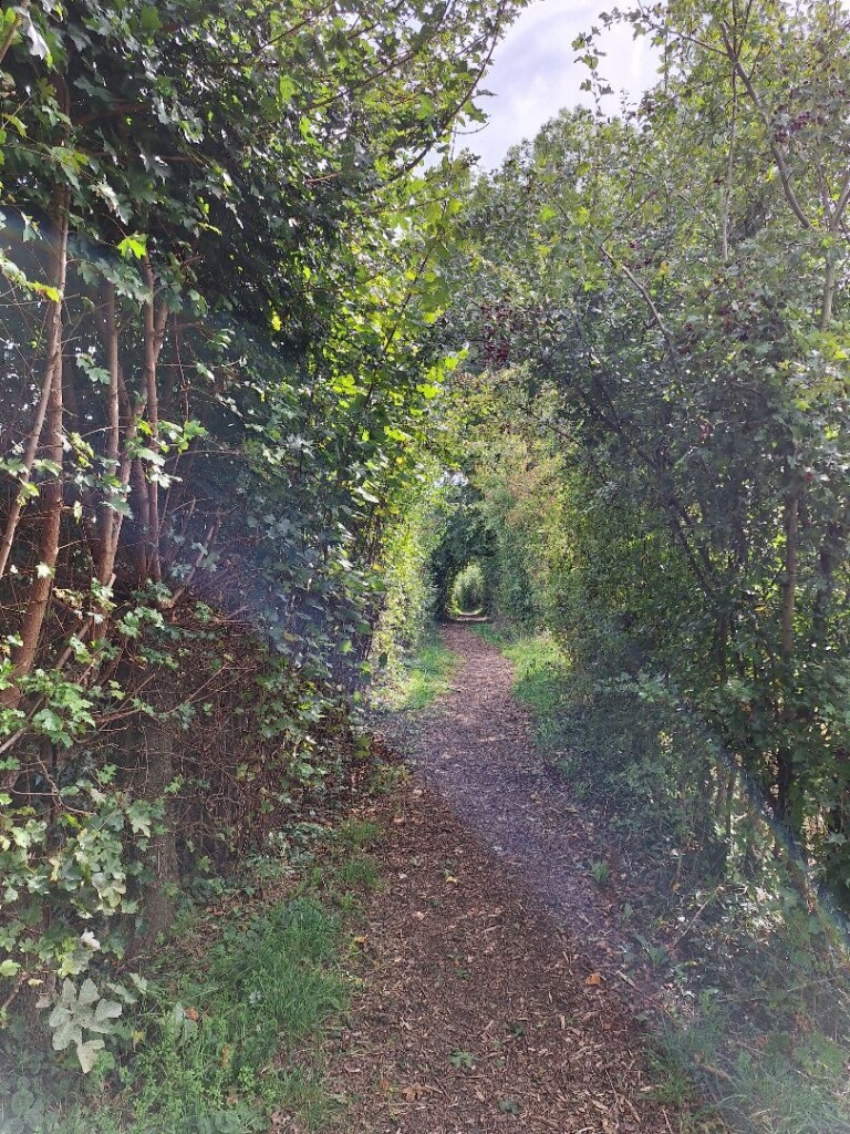 Altenbroek wandeling vanuit Noorbeek