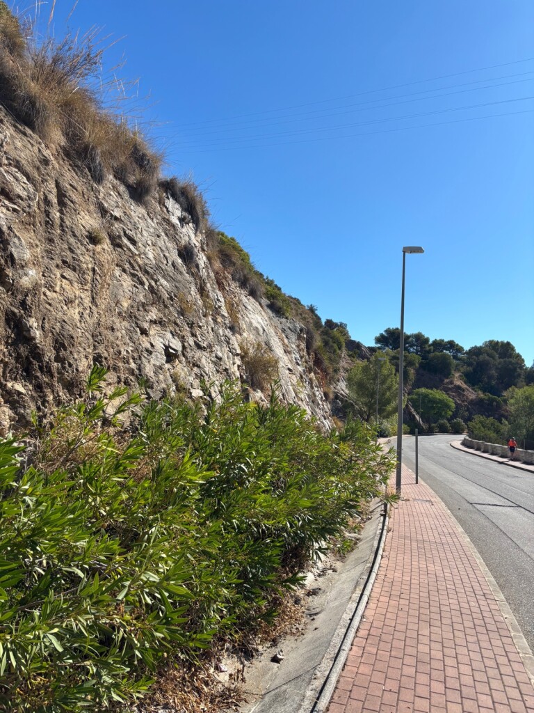 M4DW Dag 2 - Verde - 20km