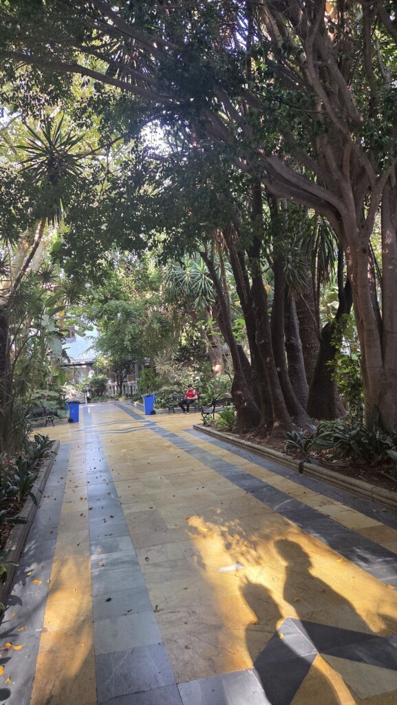 M4DW Dag 3 - Vista - 10km