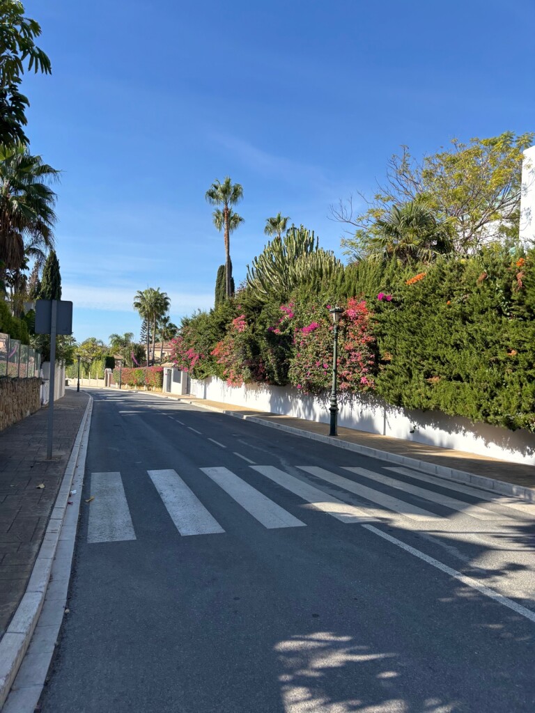 M4DW Dag 3 - Vista - 20km