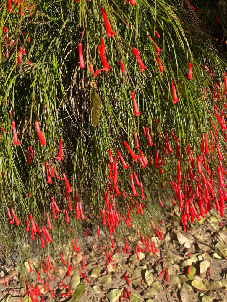 M4DW Dag 4 - Lago - 10km