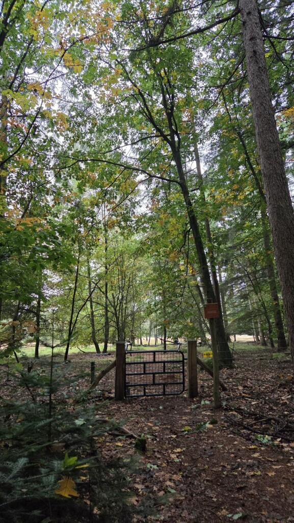 Wandelroute Archeologie Sleenerzand