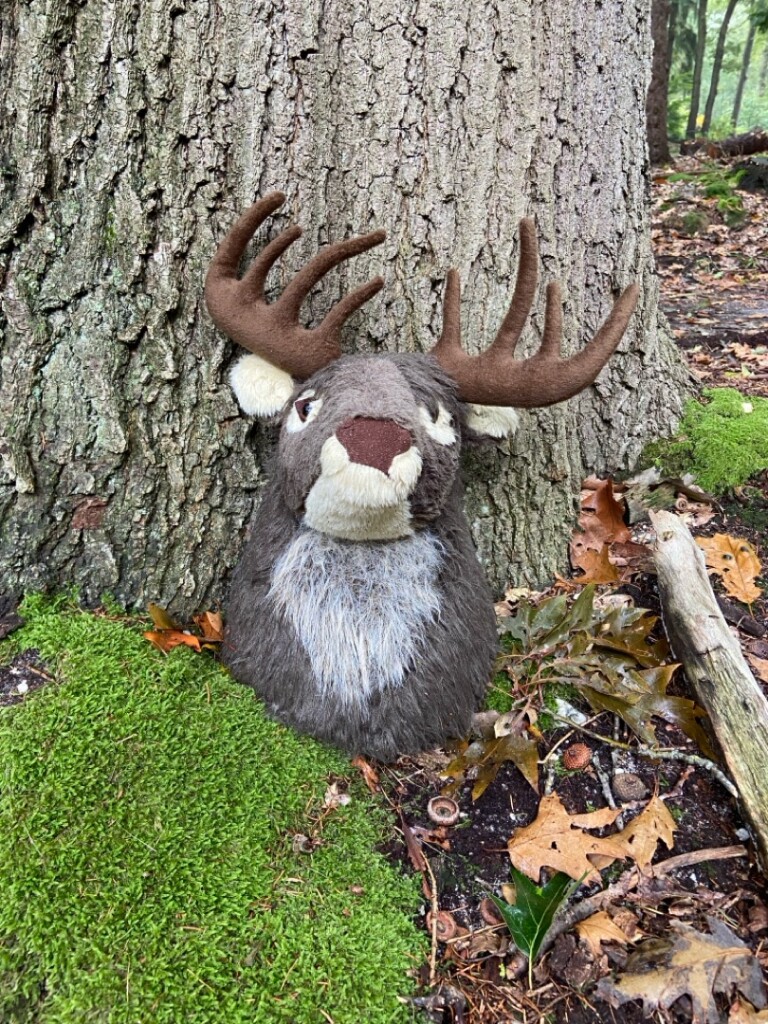 Ommen - Hellendoorn · Pieterpad etappe 10