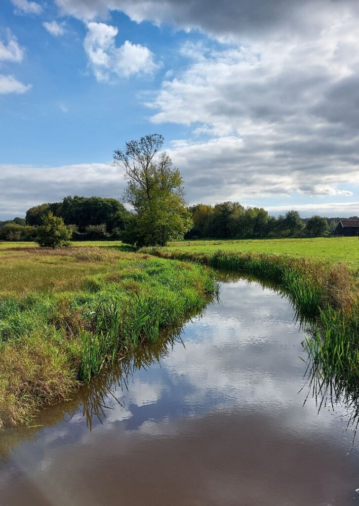 Zuidwolde - Balkbrug · Roots Natuurpad etappe 12