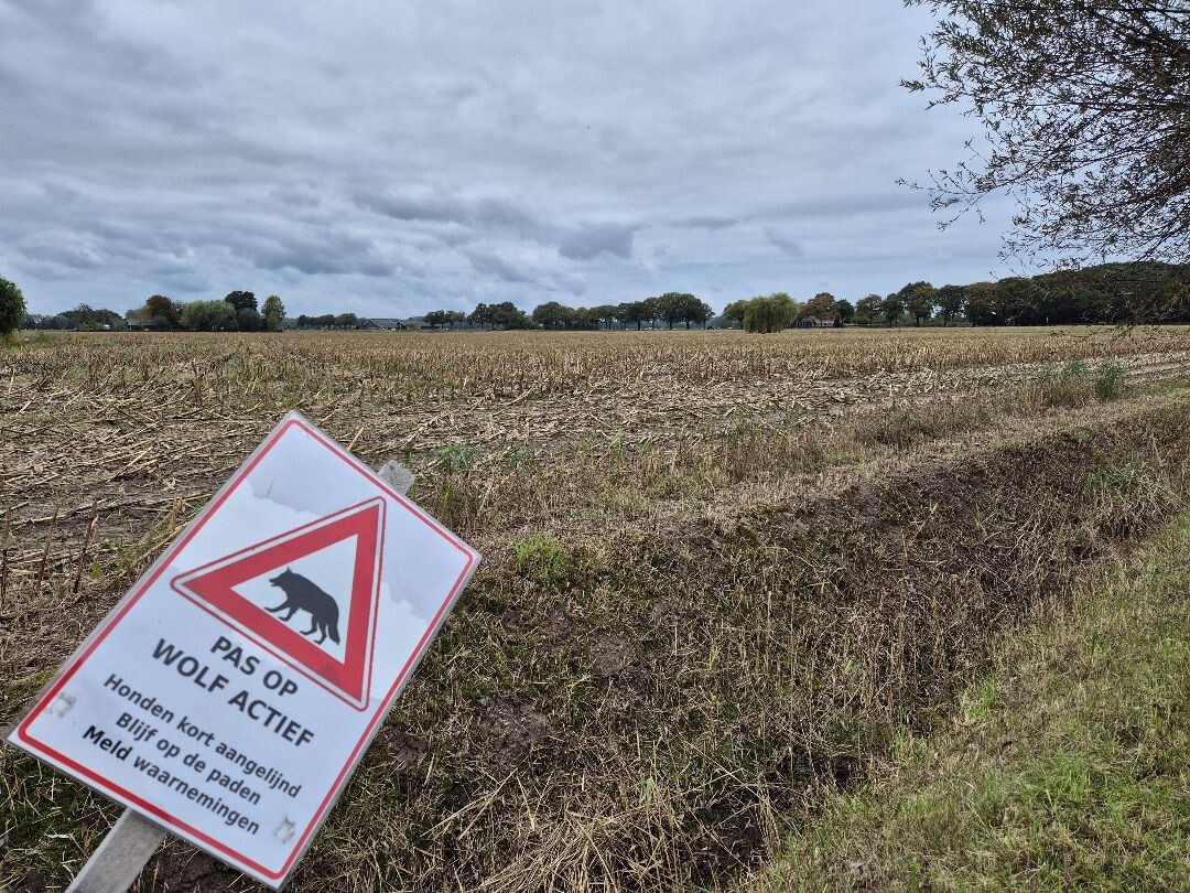 Windesheim - Zwolle (station 150m) · Hanzestedenpad etappe 6