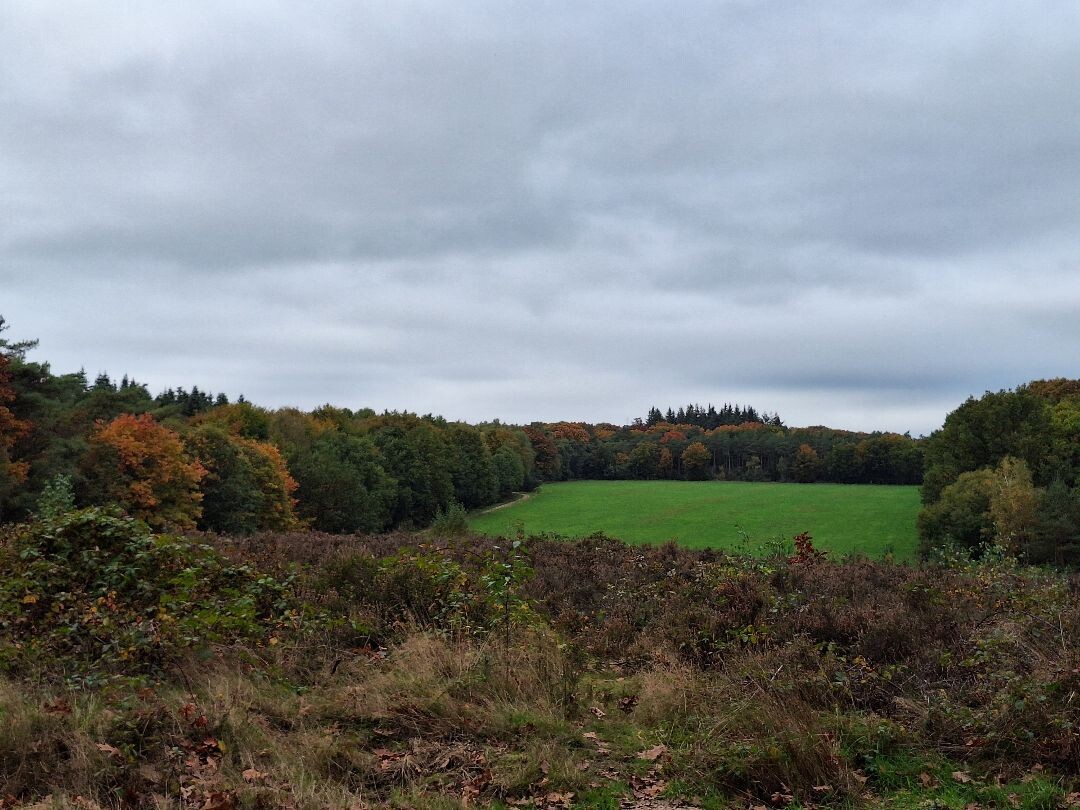 Klompenpad Valckschepad