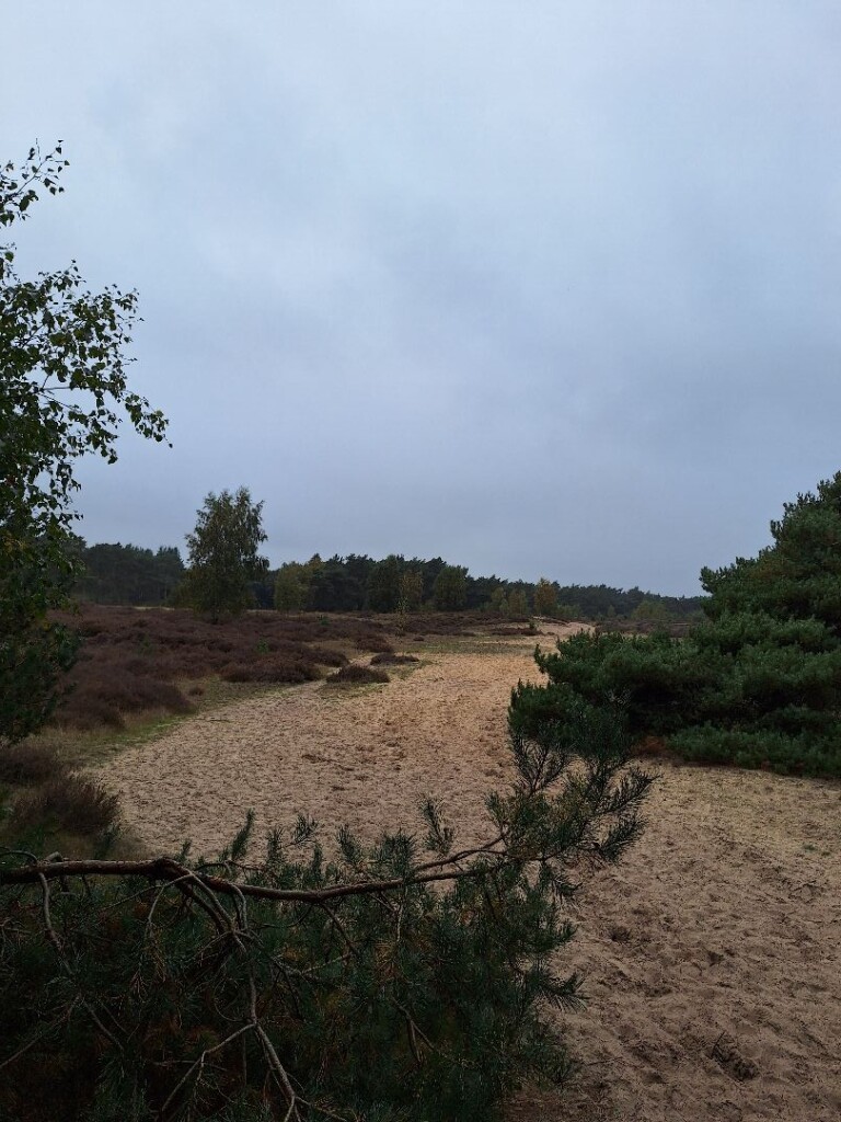 Klompenpad Valckschepad