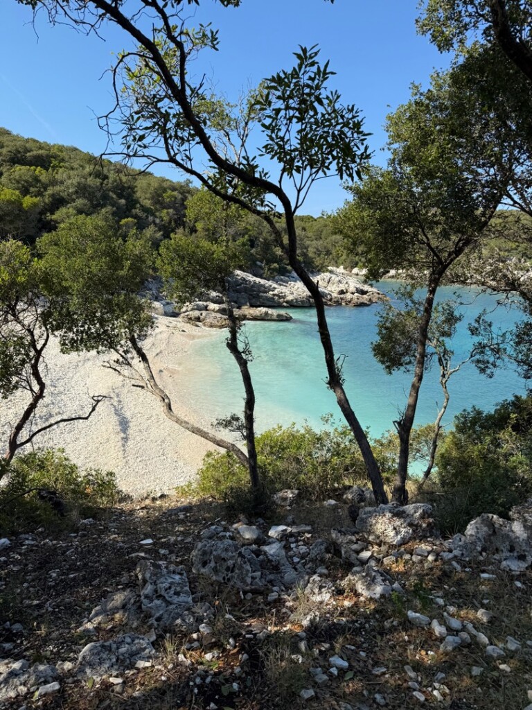 Route8 Fiskardo Battaria