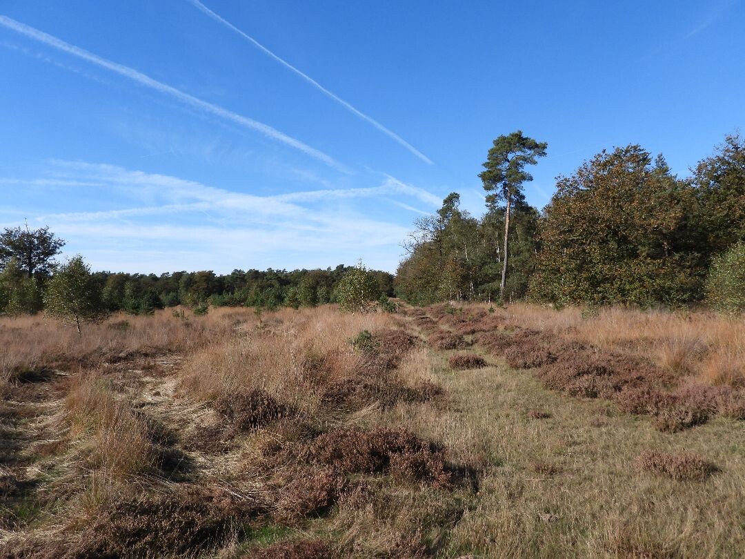 Wandelroute Schapenpark