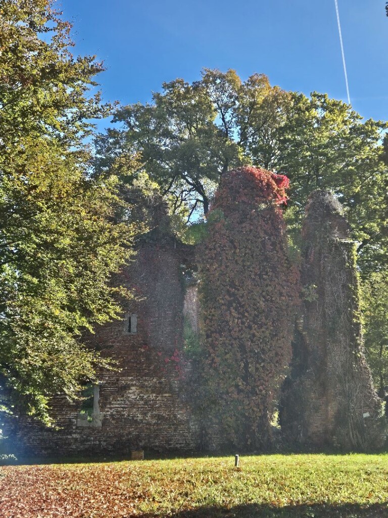 Tilligte - Neuenhaus · Dinkelpad etappe 4