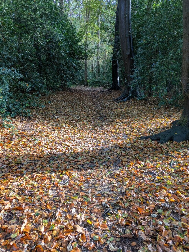 Zaterdagmiddag rondje