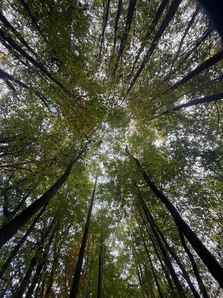 Wandelroute Ontarioroute