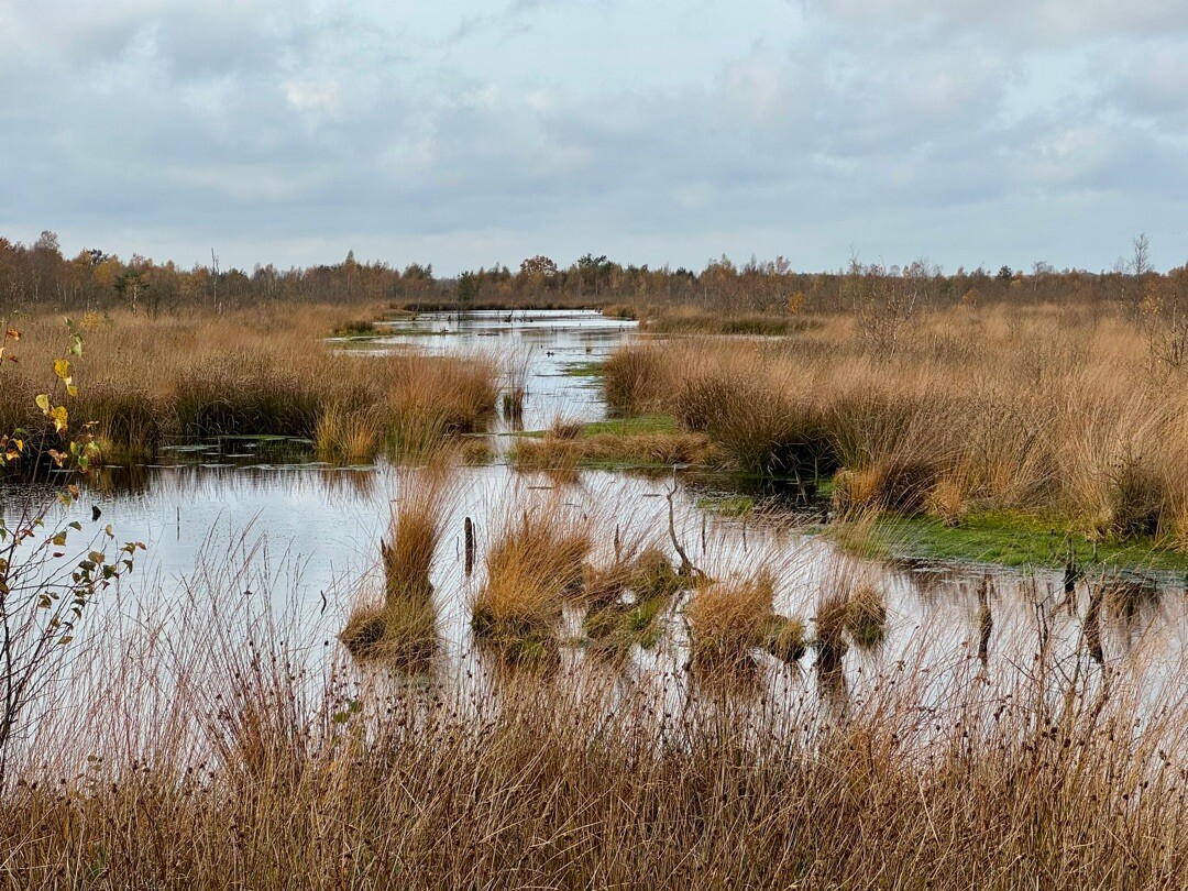 Nieuw-Dordrecht - Weiteveen · Noaberpad etappe 7