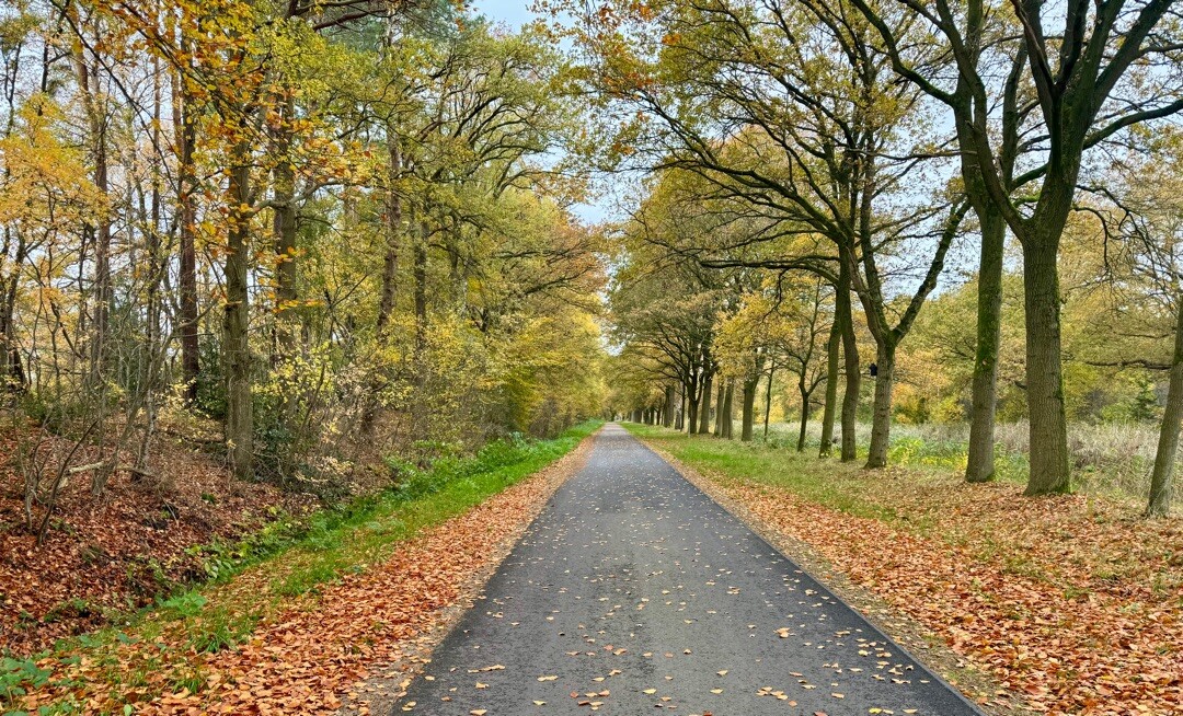 Weiteveen - Emlichheim · Noaberpad etappe 8