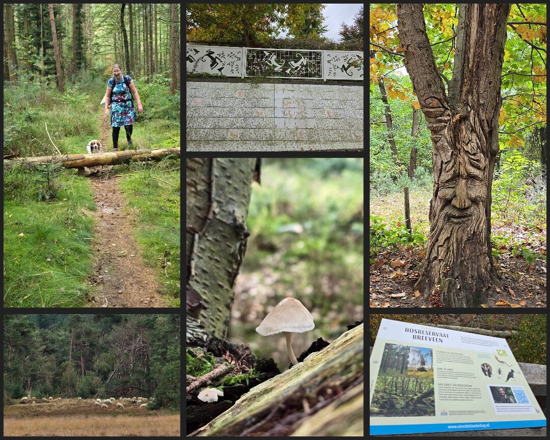 Doorn - Leersum · Utrechtse Mountain Trail etappe 6