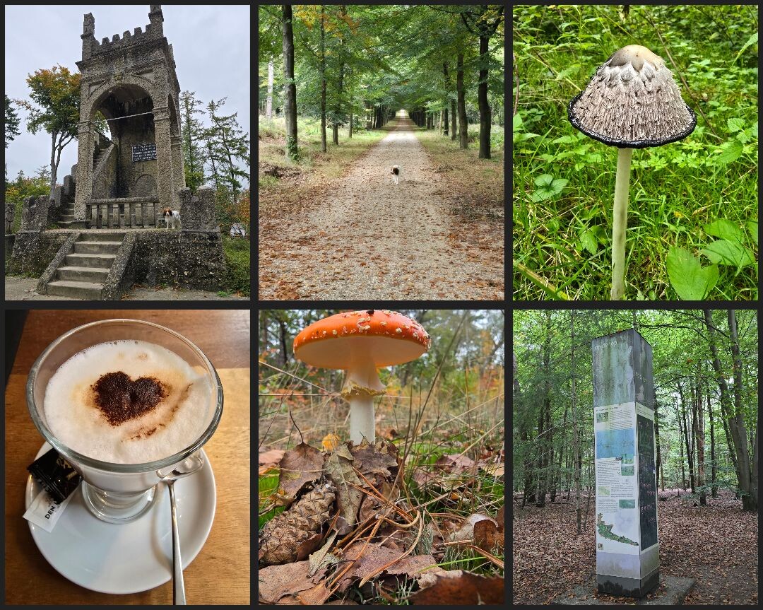 Doorn - Leersum · Utrechtse Mountain Trail etappe 6