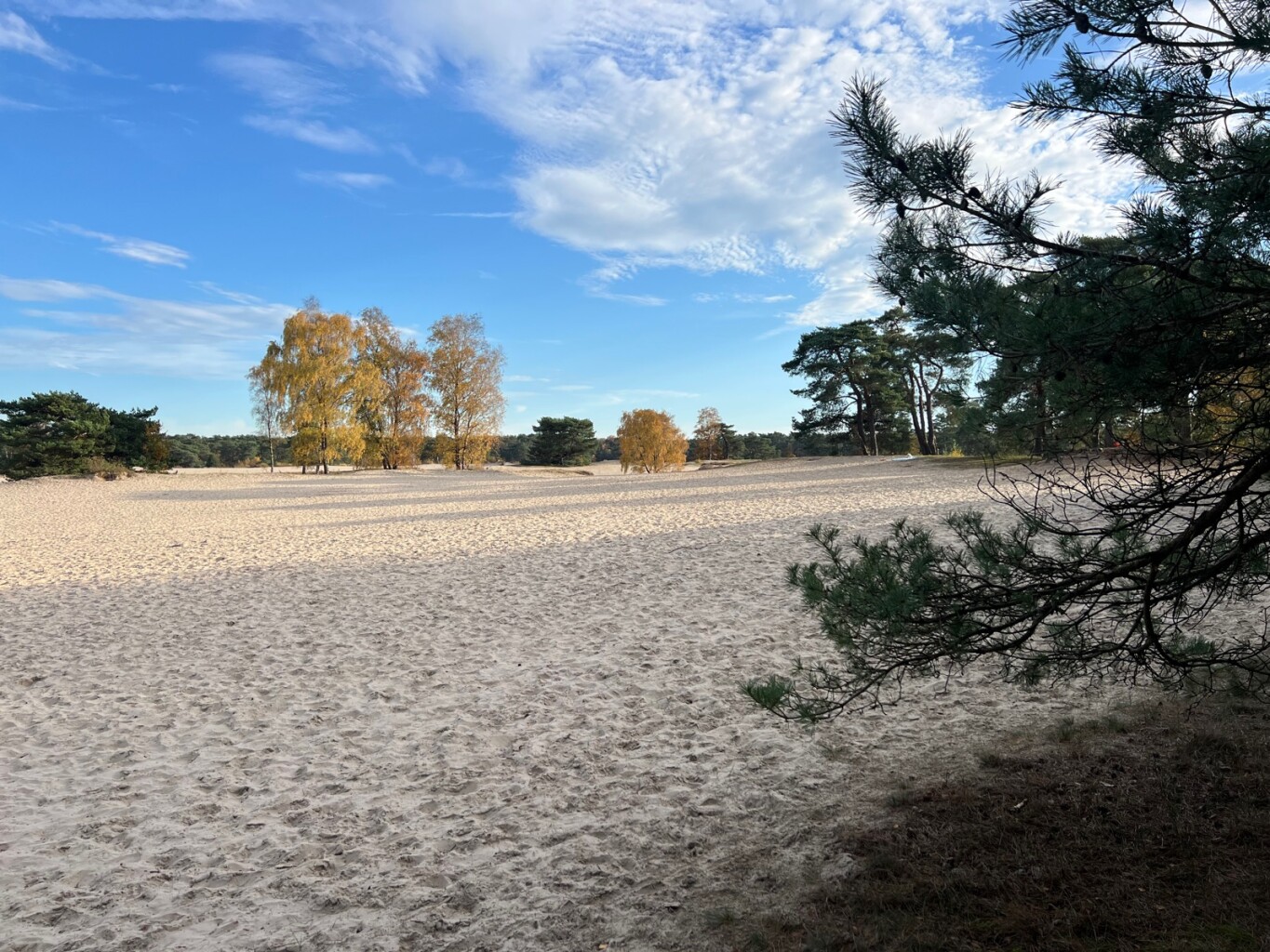 Baarn - Soesterberg · Trekvogelpad etappe 10