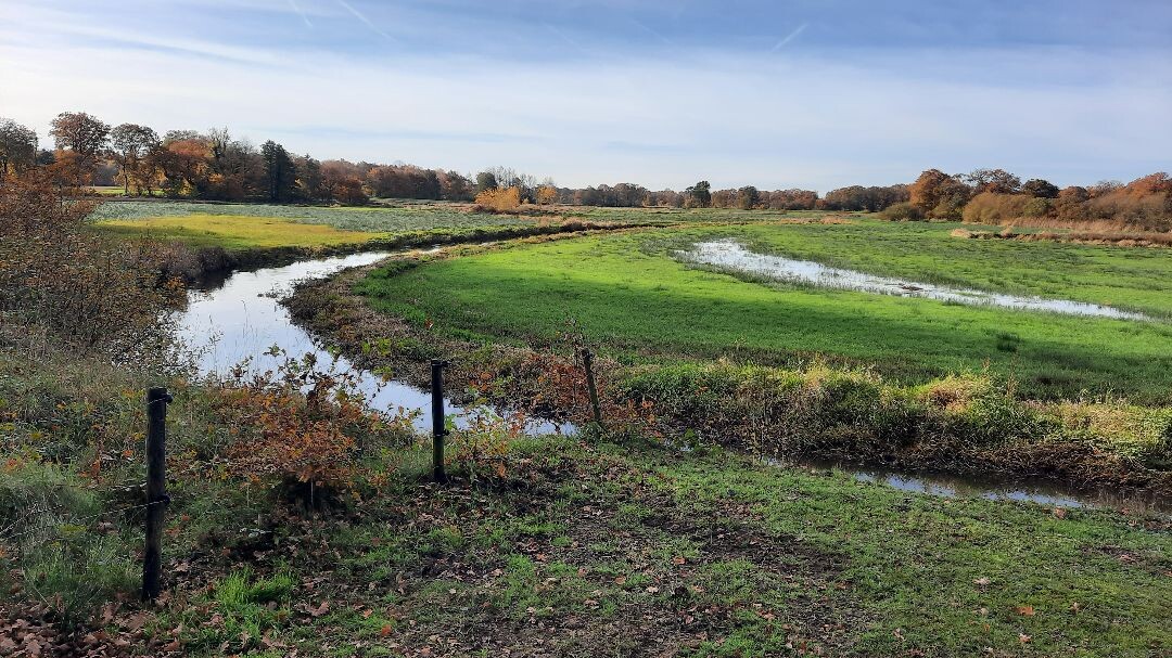 Zuidlaren - Rolde · Pieterpad etappe 4