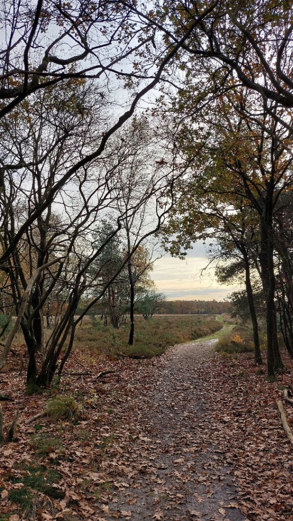 Hoenderloo - Arnhem · Roots Natuurpad etappe 20