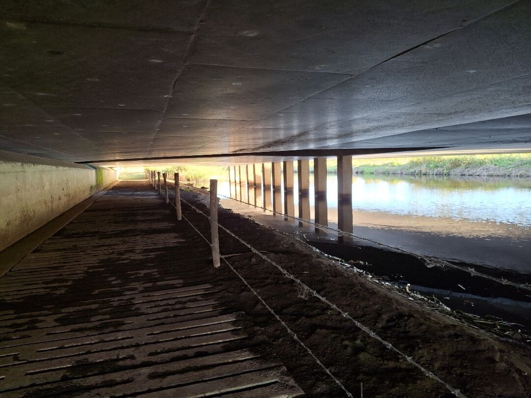 Nuland - Veghel · Camino Brabant etappe 2