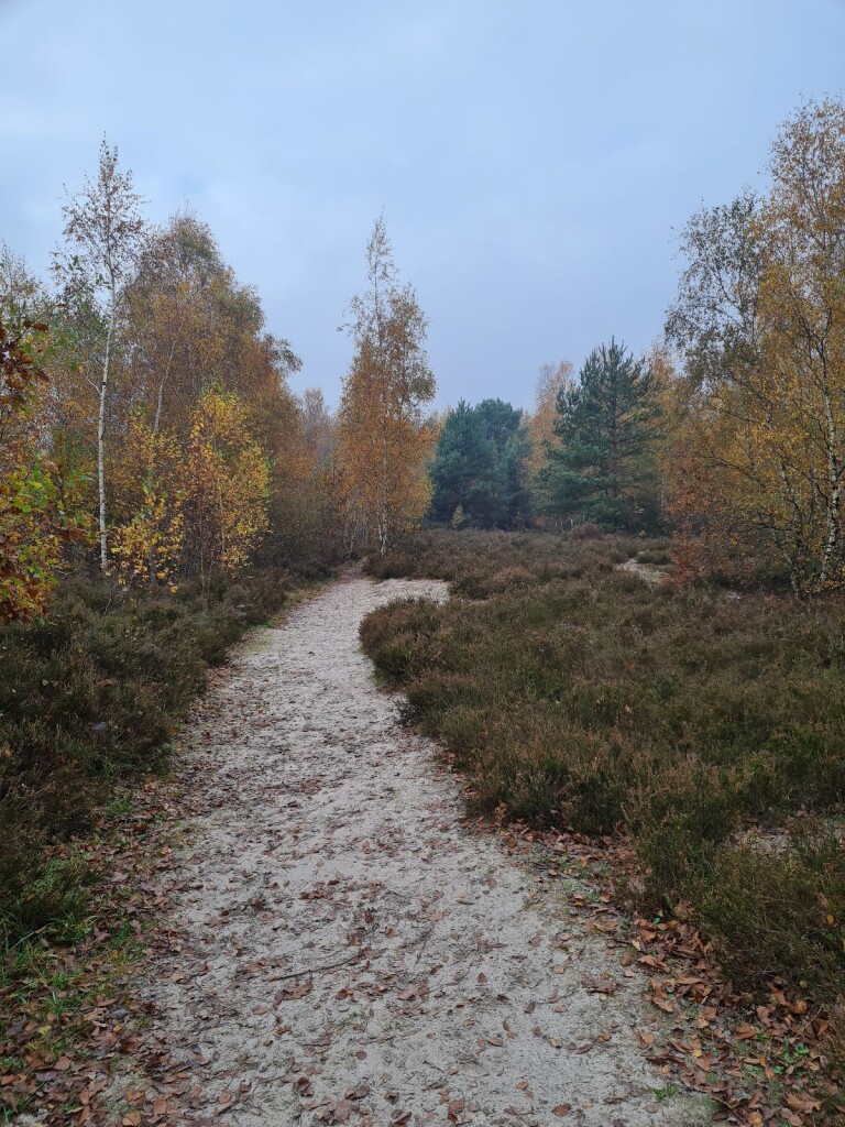 Muntendam, Dorp en Natuur