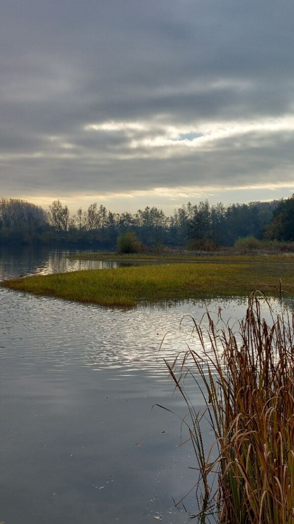 Valburg - Winssen · Roots Natuurpad etappe 23