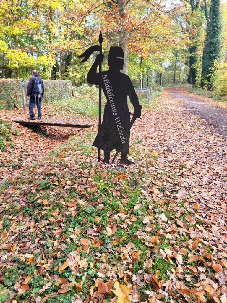 NS-wandeling Twentse beken