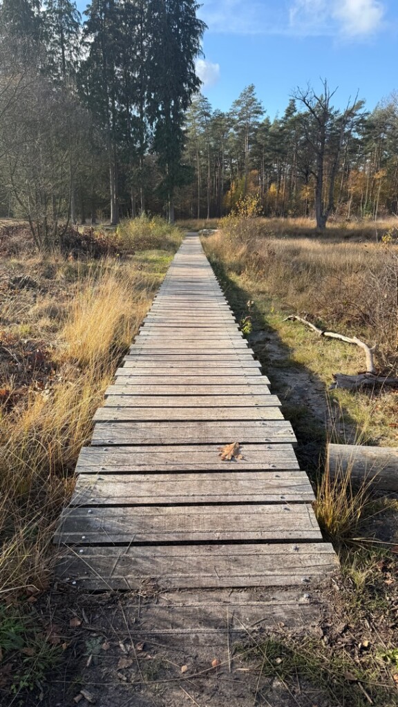 Wandelroute Ronde Huis