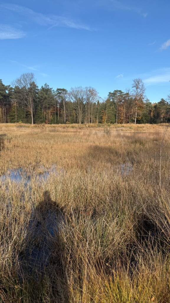 Wandelroute Ronde Huis