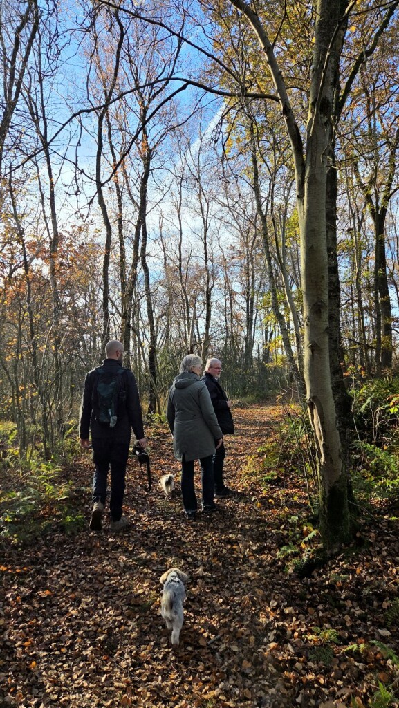 Vogelrondje Bargerveen