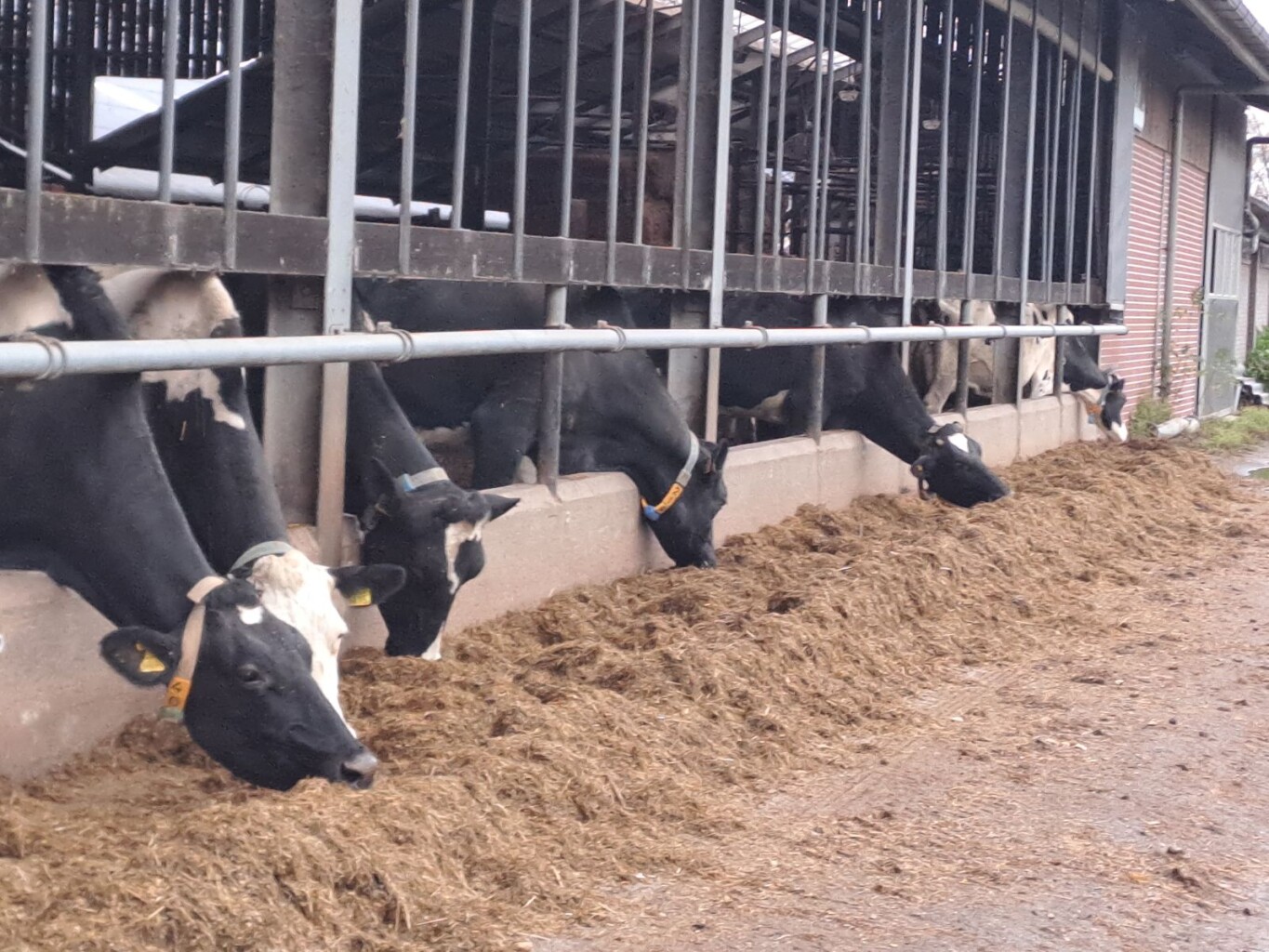 Sleen - Coevorden · Pieterpad etappe 7