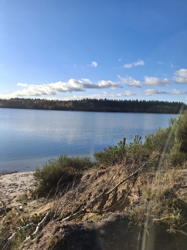 't Gasselterveldroute Blauwe Wandelroute