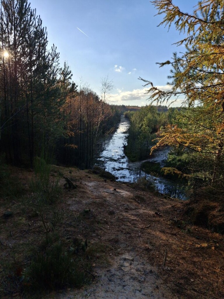 't Gasselterveldroute Blauwe Wandelroute