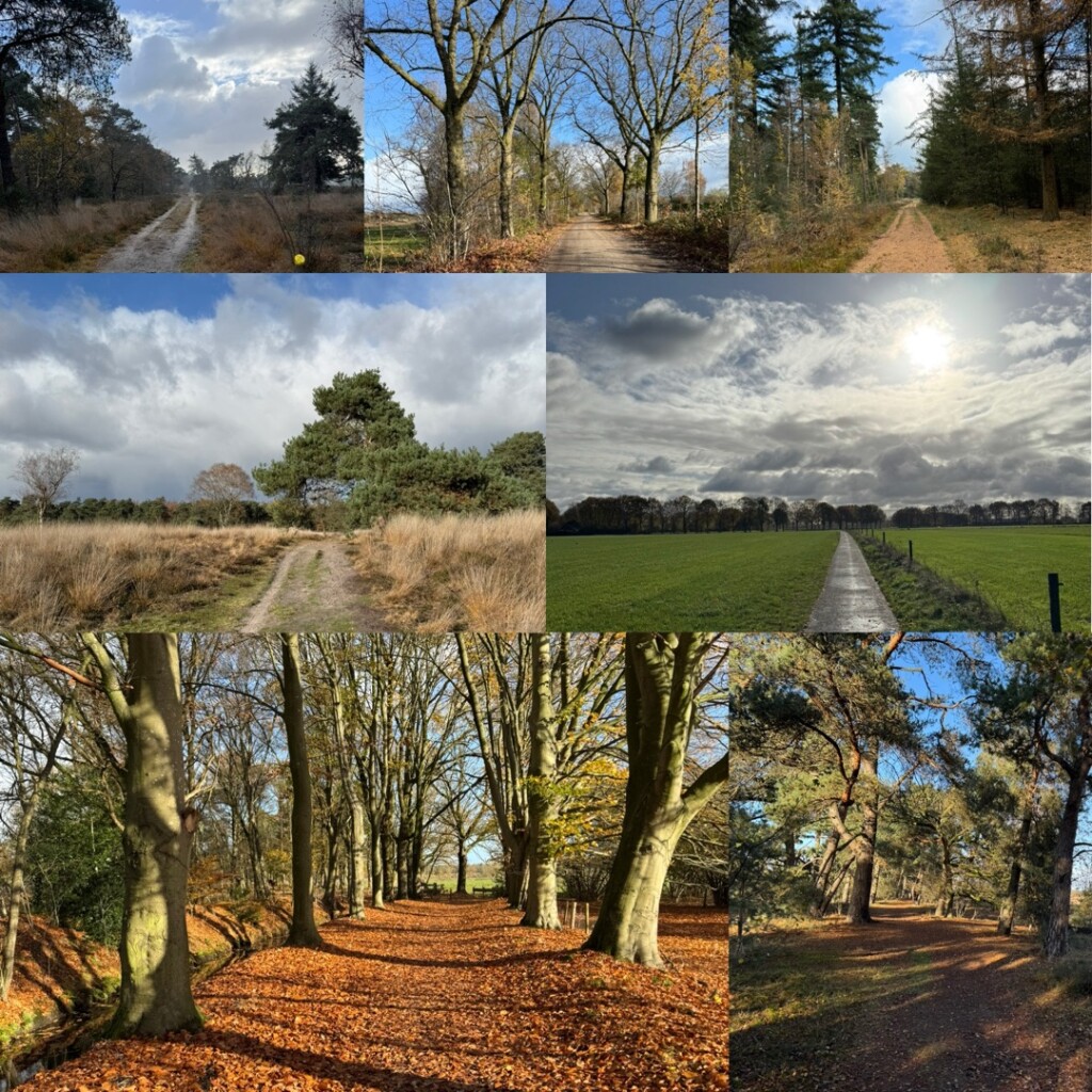 Sterksel - Boschlaan · Hertog Hendrikpad etappe 6