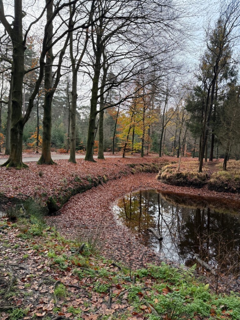 Wandelroute langs de highlights van Baarn