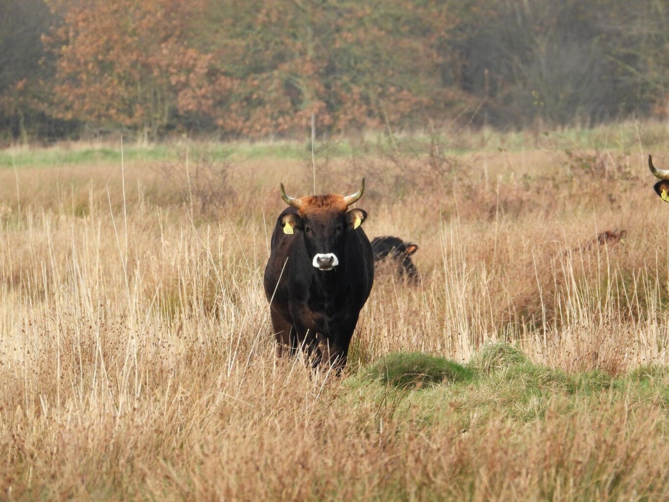 Wandelroute Tilgrup vallei