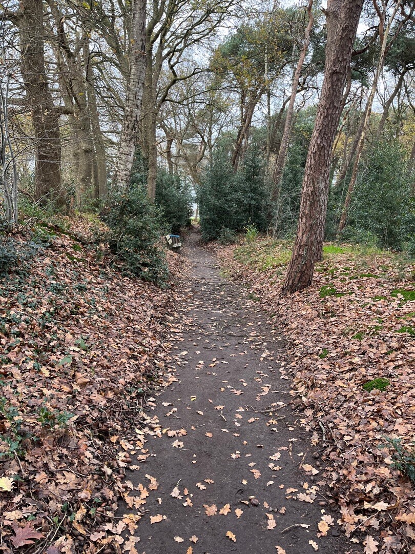 Ede Doesburgermolenpad