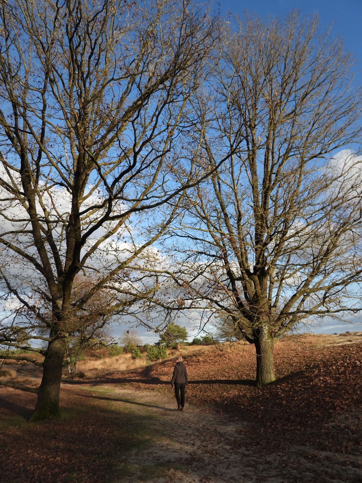 Wandelroute Kale Duinen