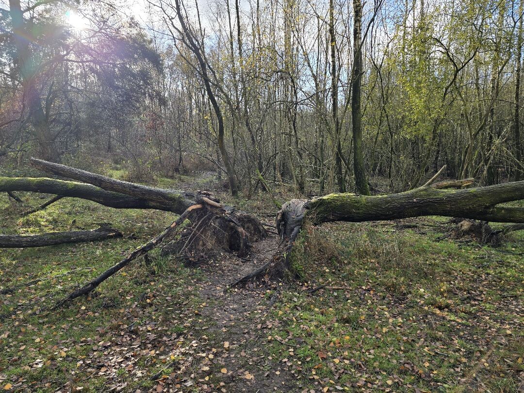 Amerongen - Rhenen · Utrechtse Mountain Trail etappe 8